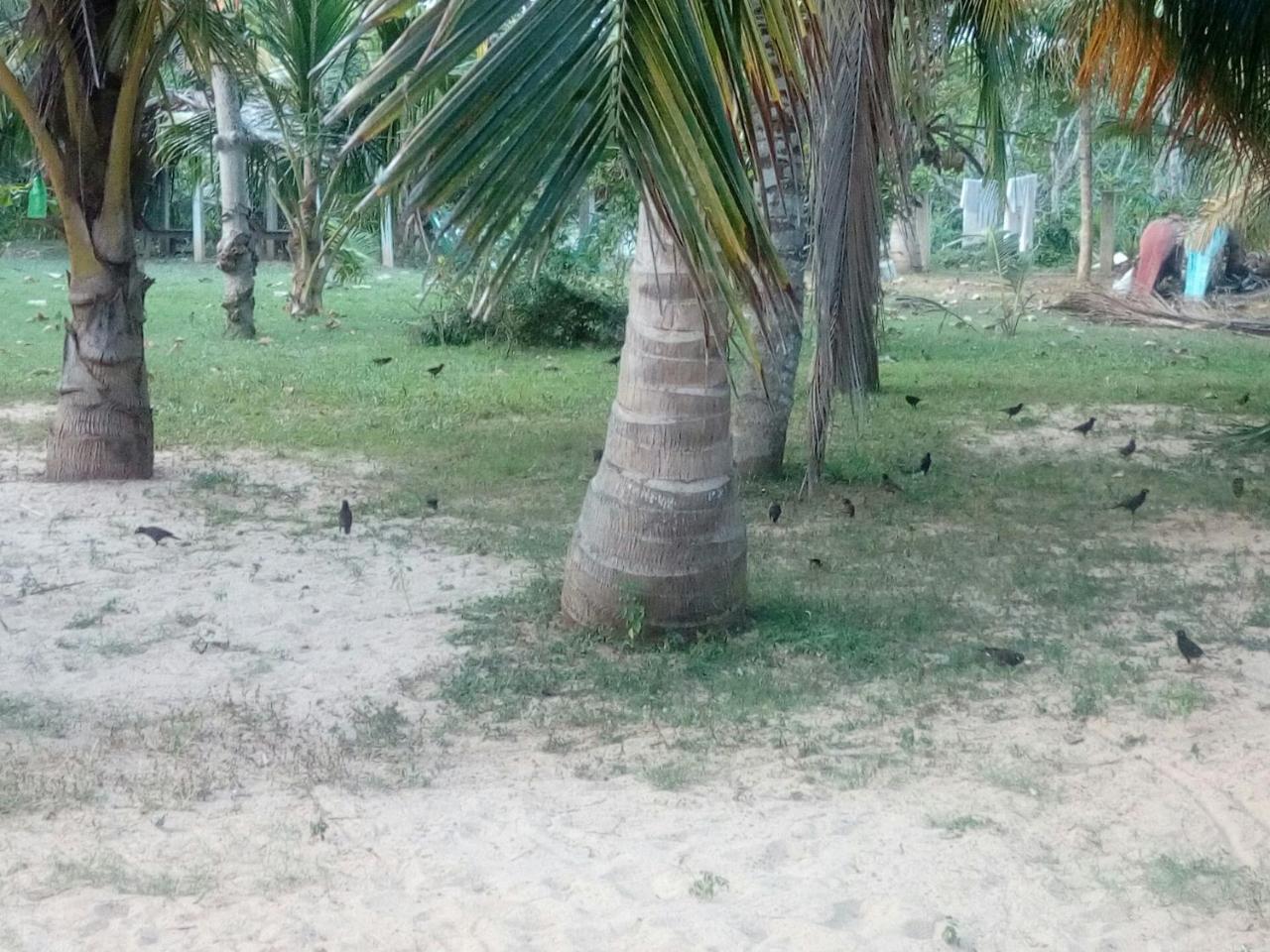 Beach Lagoon Guesthouse Tangalle Kültér fotó
