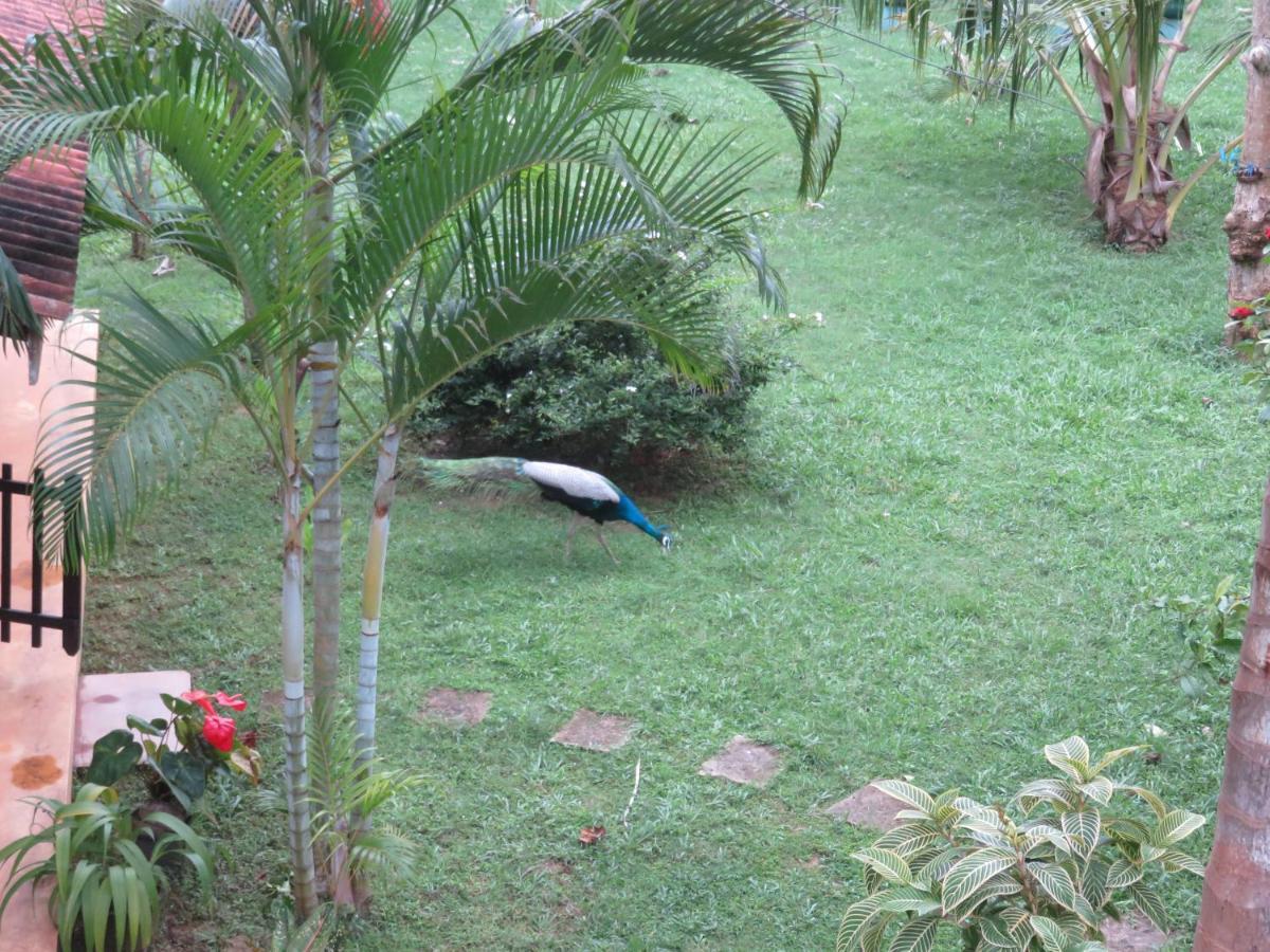 Beach Lagoon Guesthouse Tangalle Kültér fotó